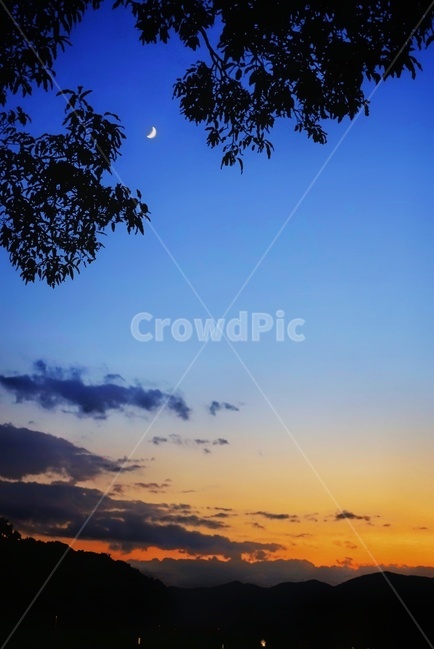 노을,하늘,풍경,달,나무,구름,야경,밤,풍경,nightscape,night,landscape,nature,자연,outdoors,옥외