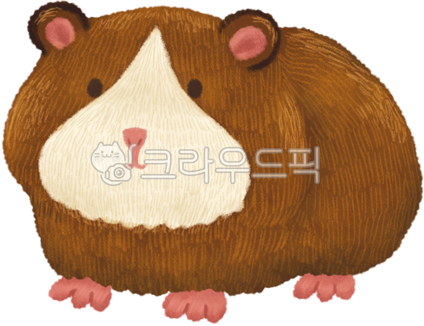 Guinea pig,animal,guinea pig illustration,guinea pig character,guinea pig drawing,guinea pig hand drawing,animal illustration,animal drawing,animal character,cute animal,hamster,hamster illustration,hamster character,hamster drawing,guineapi
