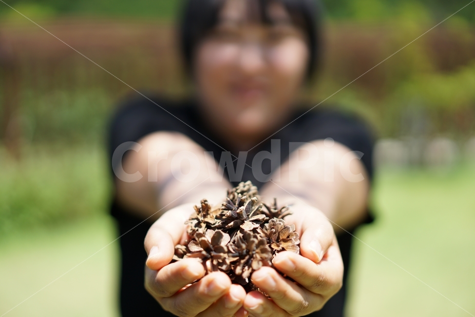 여자,여성,여인,선물,손,솔방울,감성사진,감성샷,감성,손가락,사람,인물,식물,사람,인물,인간,human,person,여성,여자,woman,female,lady,감정표현,기분,feeling,emotion,연출,컨셉,콘셉,direction,concept