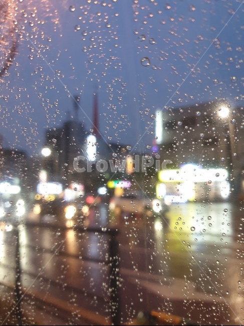 블러,비,밤거리,불빛,간판,도심,조명,도로,우산,투명우산,차,비오는날,비오는저녁,감성,야경,정물,라이트,드라이브,산책,색감,푸른밤