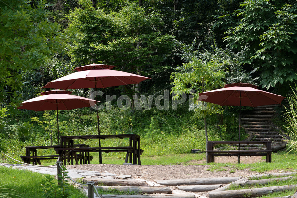 여름,숲,자연,나무,우산,휴식,힐링,rest,relaxation,healing