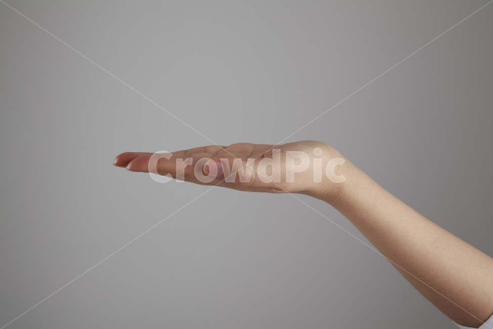 손각도,손,손모양,손가락,팔,왼손,손바닥,신체일부,손짓,표현,받침,사람,연출,컨셉,콘셉,동양인,human,person,body,hand,sign,expression,신체일부,몸,body,손,제스처,표시,손짓,표현,gesture,hand,sign,expression