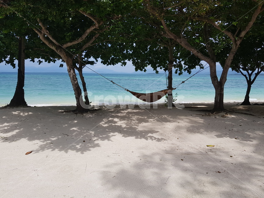 해먹,beach,해변,바다,나무,모래사장,바탕화면,배경화면,여름,계절,summer,season,furniture,가구