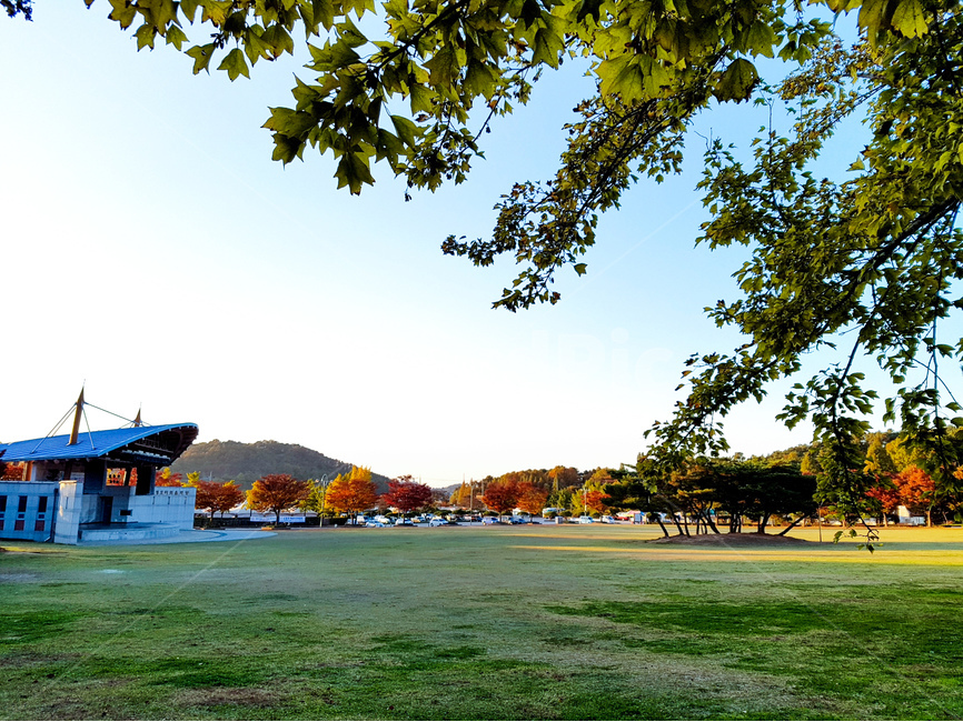 신정호공원,가을,나무,풍경,잔디,가을,계절,fall,autumn,season,자연,풍경,nature,landscape