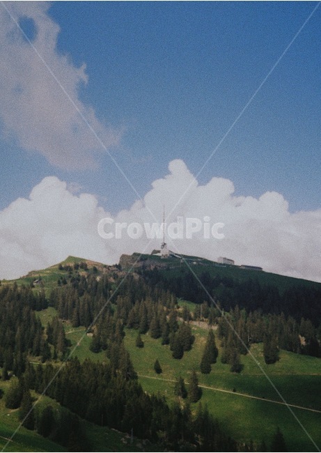스위스,리기산,구름,산,하늘,필름,필름사진,film,filmphotography,자연,풍경,nature,landscape,해외,외국,세계,foreign,oversea,world,세계자연풍경,해외자연풍경,외국자연풍경,world nature landscape,tree,나무,plant,식물,abies,아비,fir,전나무,outdoors,옥외