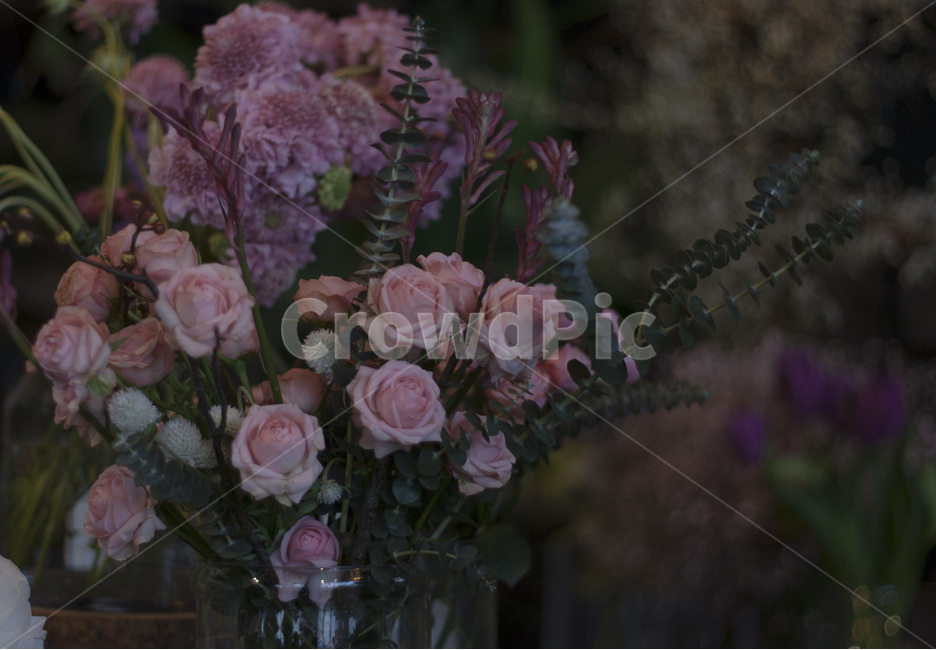 꽃,화병,식물,장미,꽃다발,카페,plant,plants,flower,flowers,rose,감성사진,식물,자연,plants,nature,꽃,flower,실내용화초,화분,화초,house plant,인테리어,실내디자인,interior design