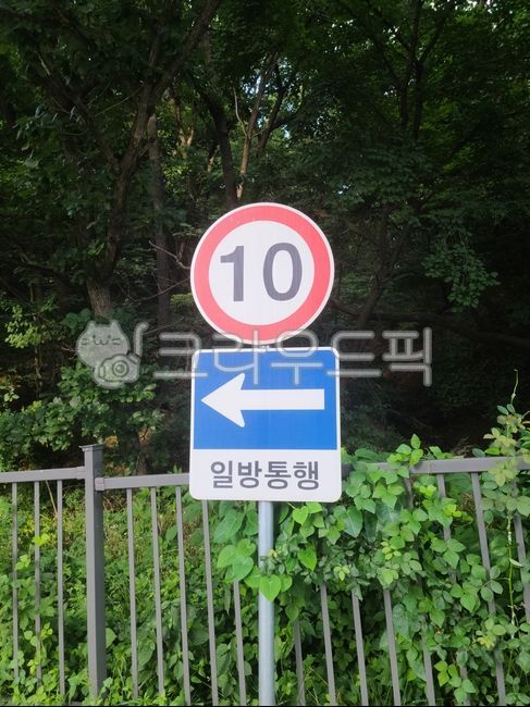 표지판,시속,규정속도,일방통행,도로,법,규정,표지,길