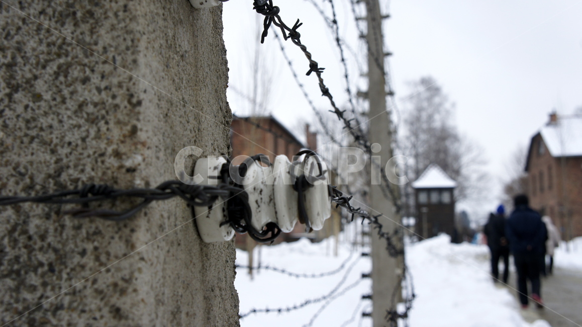 철조망,수용소,철책,감옥,concentrationcamp,겨울,계절,winter,season
