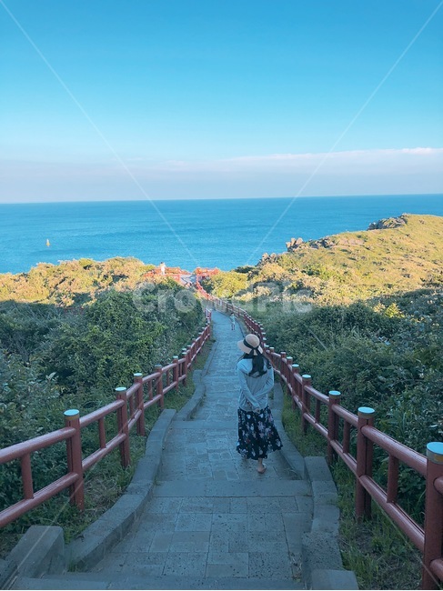 여유,여자,뒷모습,제주도,여행,산책,감성사진,색감,용머리해안,고요,하늘,바다,나무,긴머리,사람,인물,인간,human,person,여성,여자,woman,female,lady
