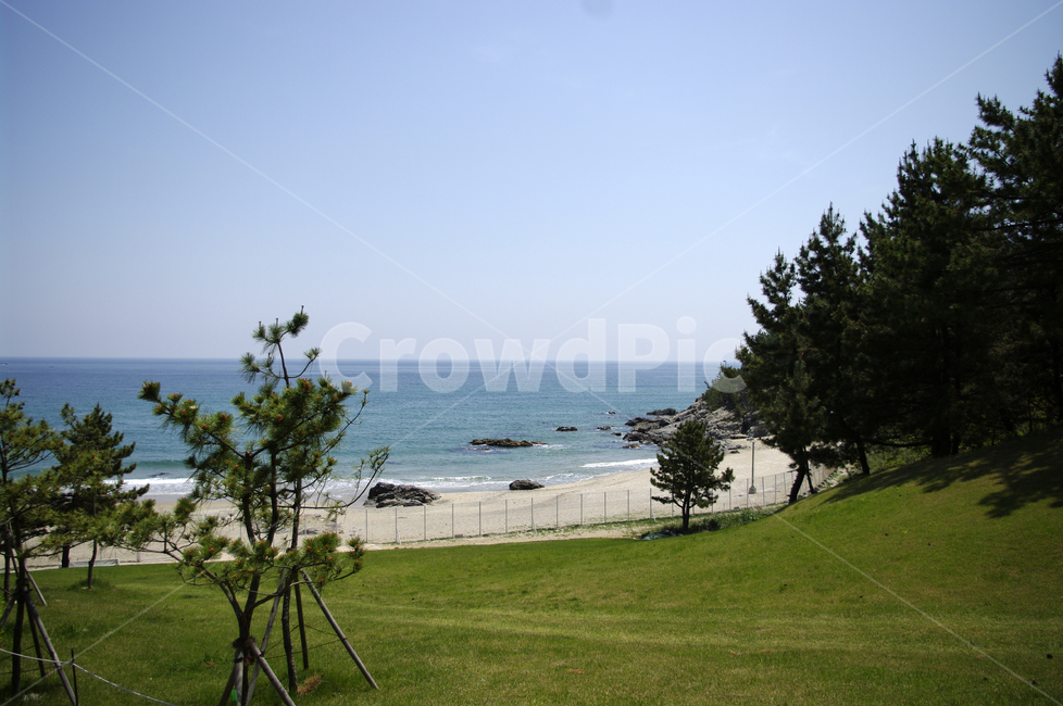 하늘,바다,모래사장,풍경,해변,나무,자연,풍경,nature,landscape,plant,식물,grass,잔디,outdoors,옥외