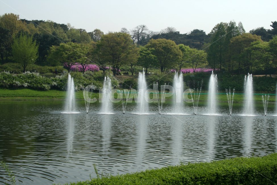 분수,호수,봄풍경,봄,봄날,감성,spring,공원,풍경,봄,계절,spring,season,자연,풍경,nature,landscape,water,물,fountain