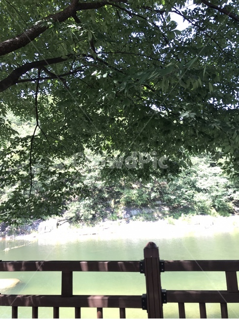 울타리,난간,호수,계곡,나무,식물,자연,plants,nature,나무,trees,wood
