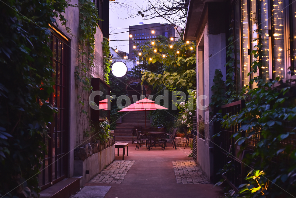 야경,야간풍경,밤풍경,카페,파라솔,레드,red,cafe,night,emotional,sensible,느낌,분위기,필,감성,전구,조명,라이트,텅빈,보라색,저녁무렵