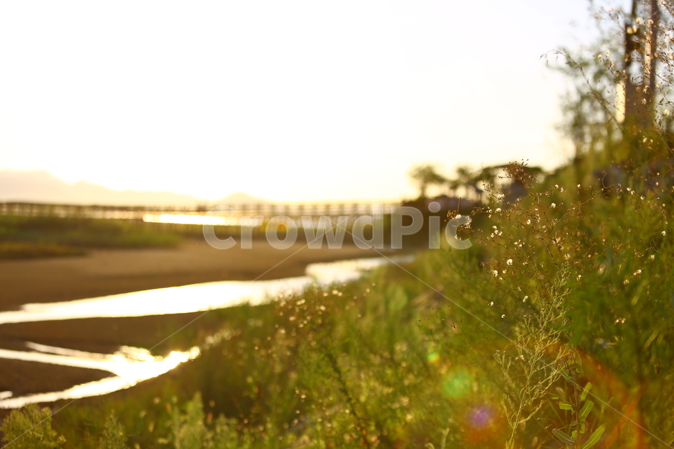 부산,다대포,노을,낙조,플레어,해질녁,매직아워,자연,풍경,nature,landscape