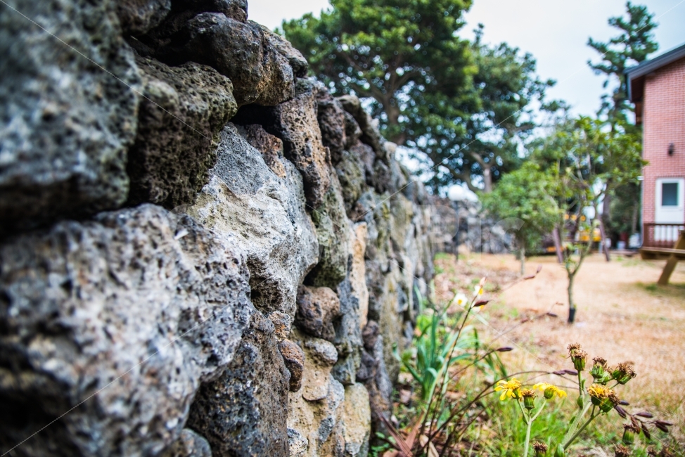 담장,돌담장,벽,제주,풍경,제주도,jeju,jeju island,wall