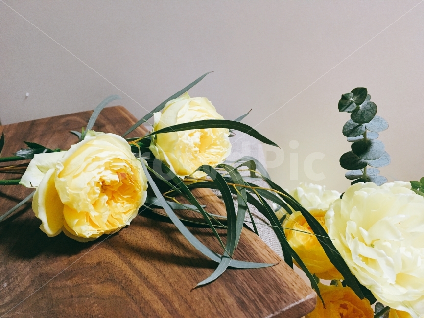 꽃,플라워,flower,도마,나무,질감,유칼립튜스,스튜디오,초록색,봄,식물,자연,plants,nature,꽃,flower,감성,sensible,feeling,색깔,색상,색채,색감,color sense,color sensitivity,feeling of color