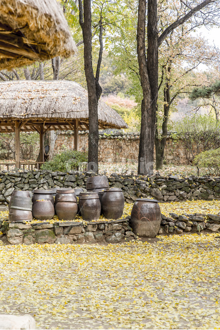 장독대,가을,낙엽,초가지붕,전통가옥,가을,계절,fall,autumn,season,한국전통,한국문화,korean traditional,korean culture