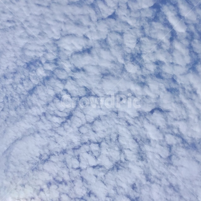 양떼구름,구름,양떼,cloud,하늘,sky