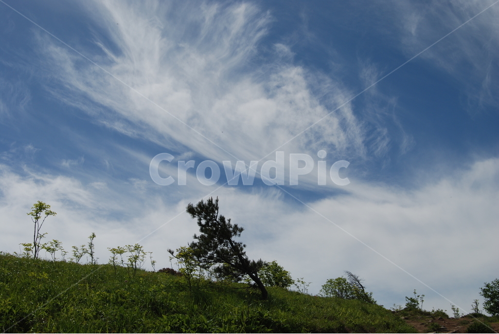 소백산,공원,하늘,바람,구름,자연,풍경,nature,landscape,outdoors,옥외,grassland,목초지,field,들