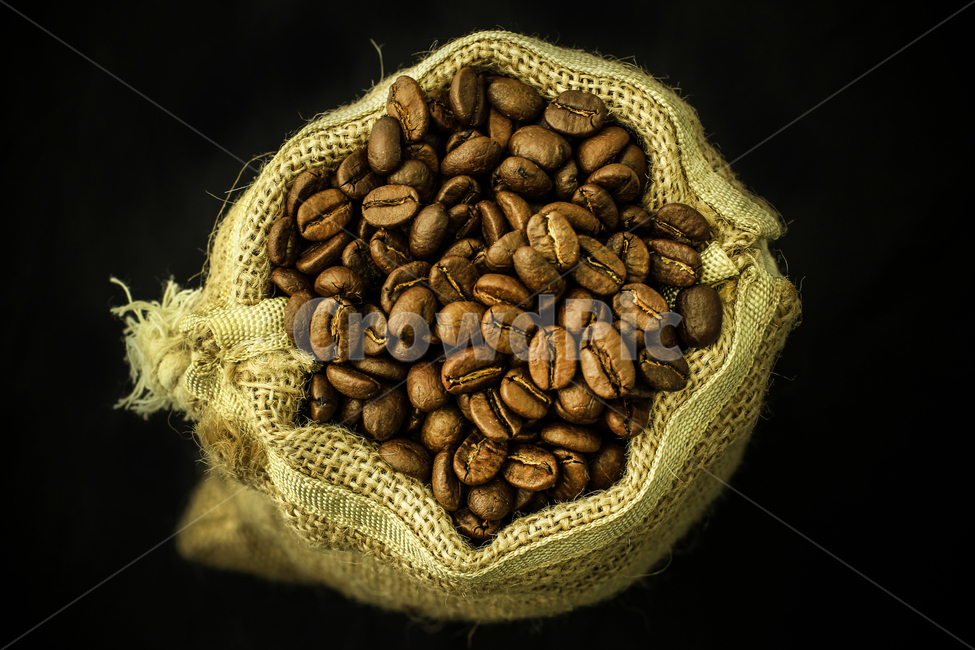 커피,커피콩,원두,카페인,신선한,커피주머니,클로즈업,카페,잔,검정색,유리,오브젝트,컨셉,커피,카페,coffee,cafe,연출,컨셉,콘셉,direction,concept