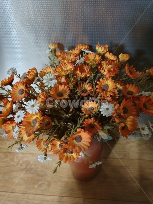 오렌지꽃,들꽃,화분,꽃병,꽃화분