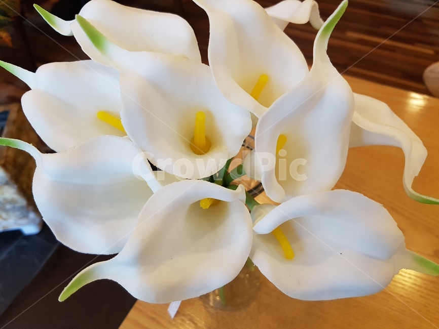꽃,칼라,calla,하얀색,부케