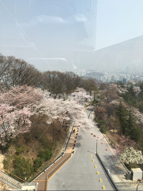 landscape,경치,nature,자연,outdoors,옥외,road,도로