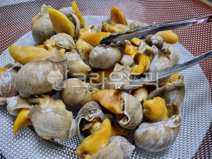 conch,snail,seashell,turbanshell,clamshell,sea snail,cookingmaterial,seasnail,Whitenecked guy,Food Ingredients,escargot,ingredients,foodmaterial,seafood,beating,spiralshellfish,Whelk,cooking ingredients,food,shellfish,shell,seafoodproducts,clam,topshell,f