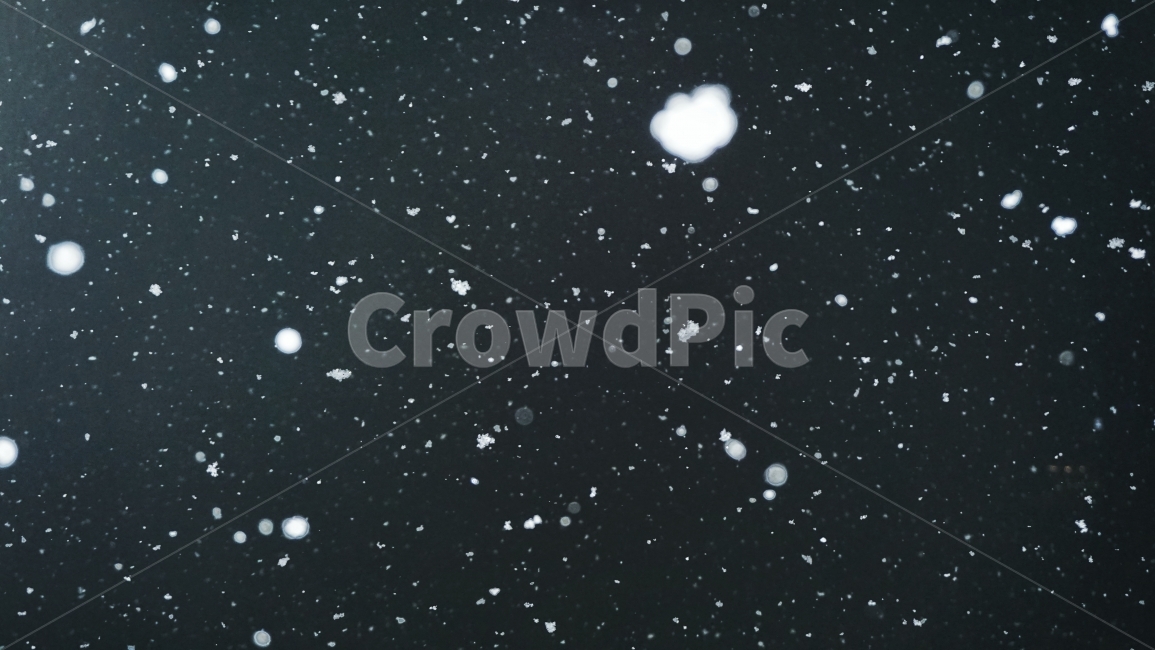 겨울,눈,밤,계절,어둠,날씨,정지,winter,snow,night,season,dark,white,black,순백,흰색,하얀색,순수함,겨울,계절,winter,season,자연,풍경,nature,landscape,야경,밤,nightscape,night,outdoors,옥외