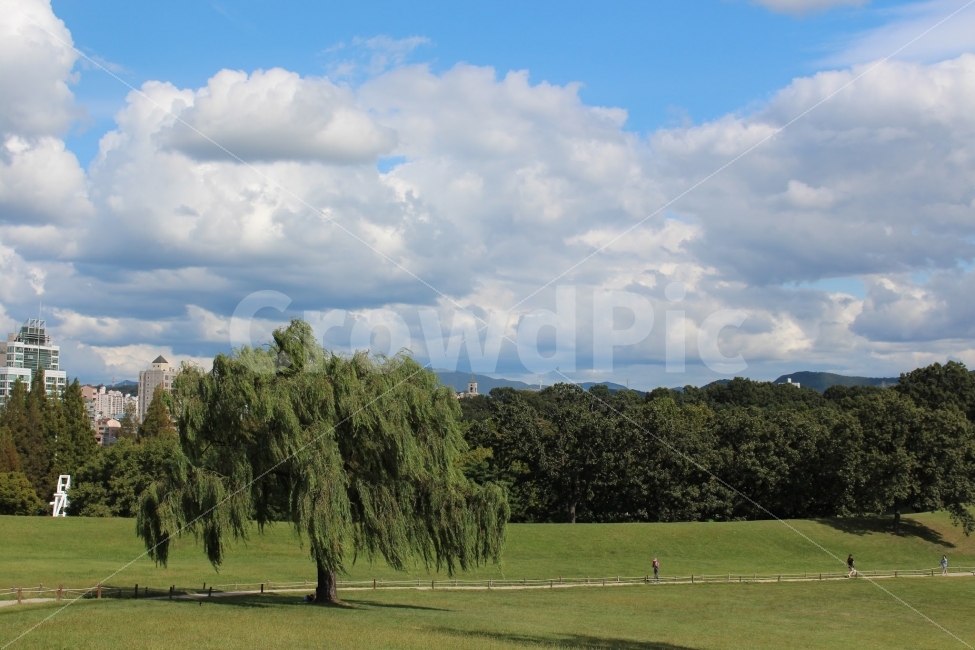 Olympic Park,cloud,sky,rest,daily,tree,park,walk