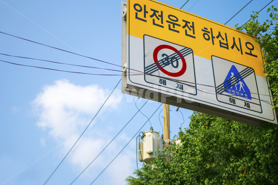 표지판,안전운전,여름,30km,횡단보도,해제,맑음,교통,교통수단,traffic,transportation