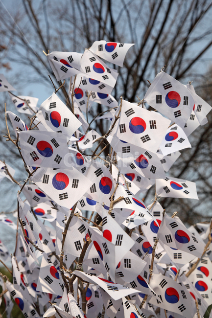 태극기,국기,깃발,휘날리는,펄럭이는,풍경,배경,백그라운드,야외,실외,삼일운동,31운동,31운동,삼일절,31절,31절,광복,광복절,국경일,패턴,여러개,많은,수많은,단체,나무,나뭇가지,서울,한국