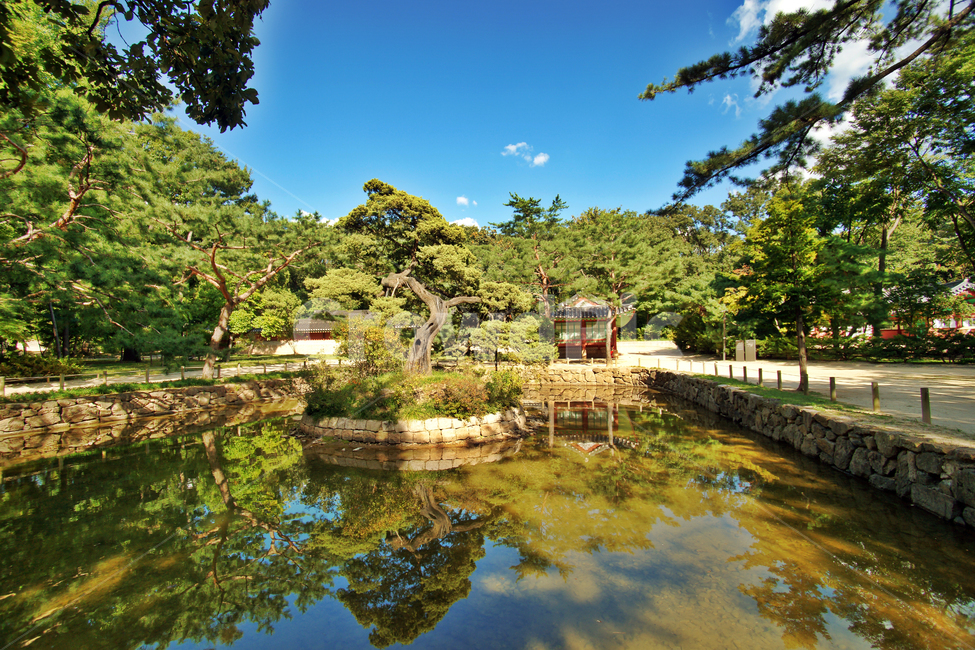 종묘,연못,세계유산,향대청,제사,신주,유교,자연,풍경,nature,landscape,한국전통,한국문화,korean traditional,korean culture,water,물,outdoors,옥외