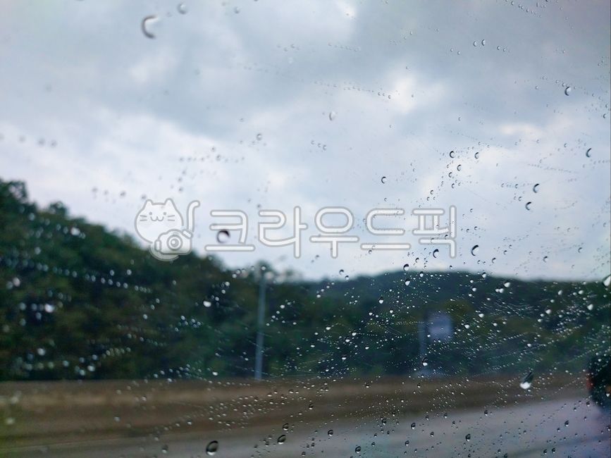 droplet,작은물방울,비,빗방울,하늘,구름,봄비,폭우,나무,유리,방울,도로,풍경,물방울,빗물,유리창,물