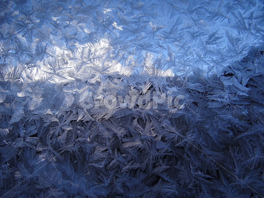 ice,빙,nature,자연,서리,snow