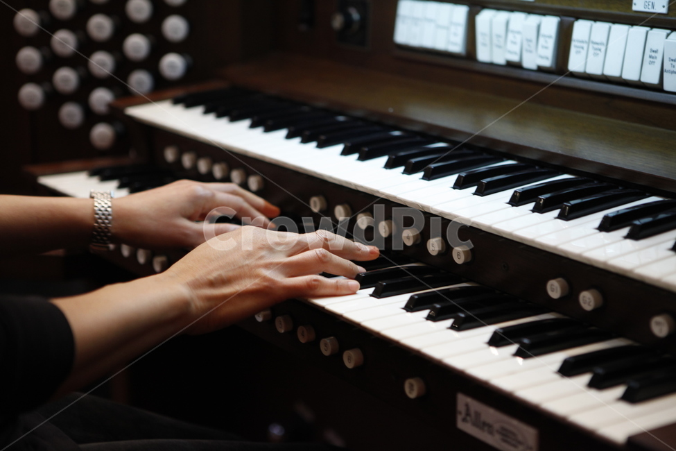 오르간,손,피아노,건반,음악,악기,음향기기,musical instrument,musical equipment