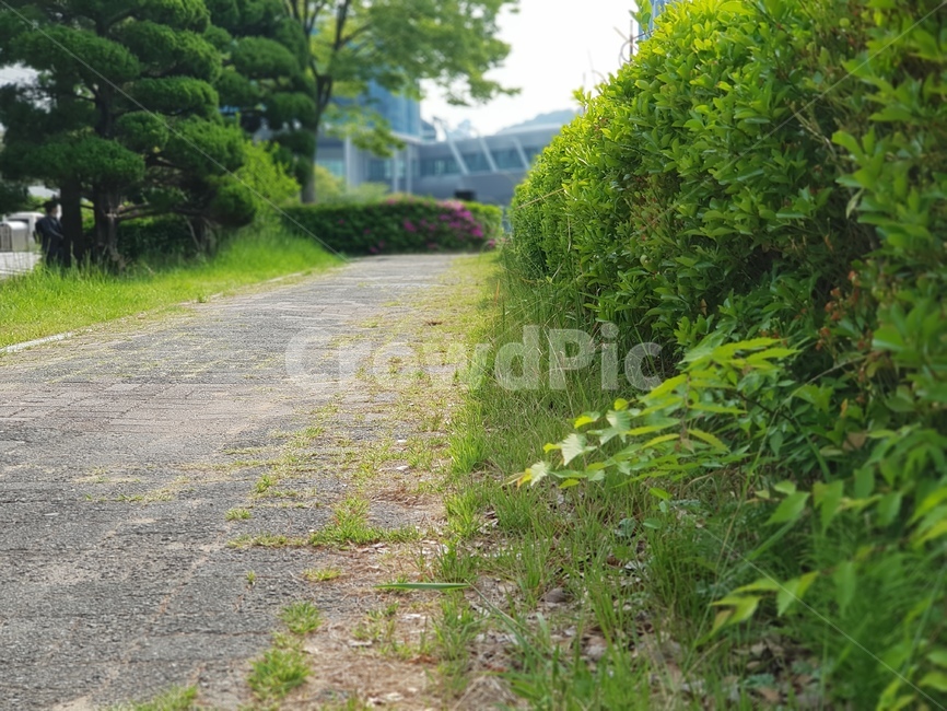 한적한길,오솔길,산책길,여유,조용한길,봄