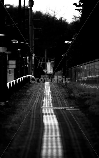 흑백,대비,길,오후,모노톤,흑백,모노톤,monochrome,black and white