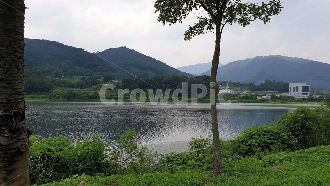 강변,풍경,자연,강,춘천