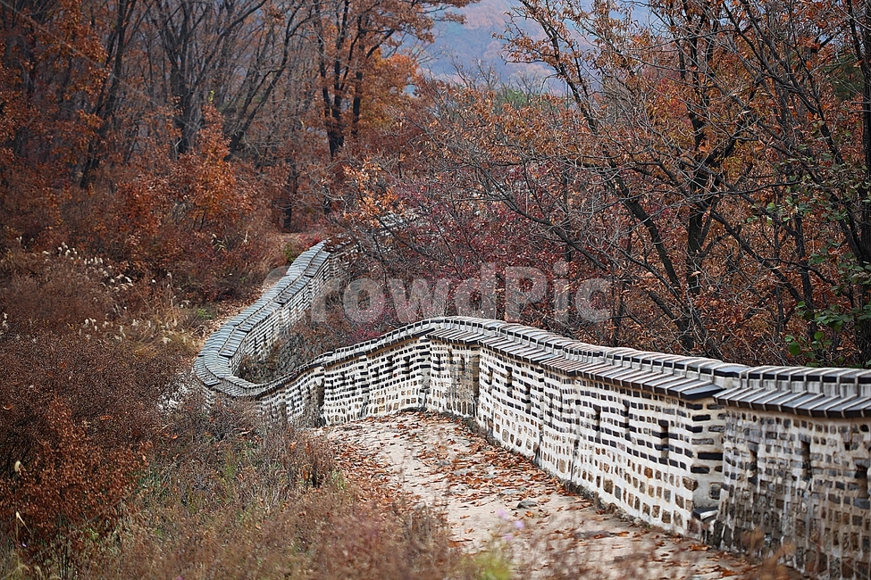 남한산성,성,성곽,단풍,낙엽,길,둘레길,담,돌담,가을,자연,풍경,벽,울긋불긋,산성,식물,가을,계절,fall,autumn,season
