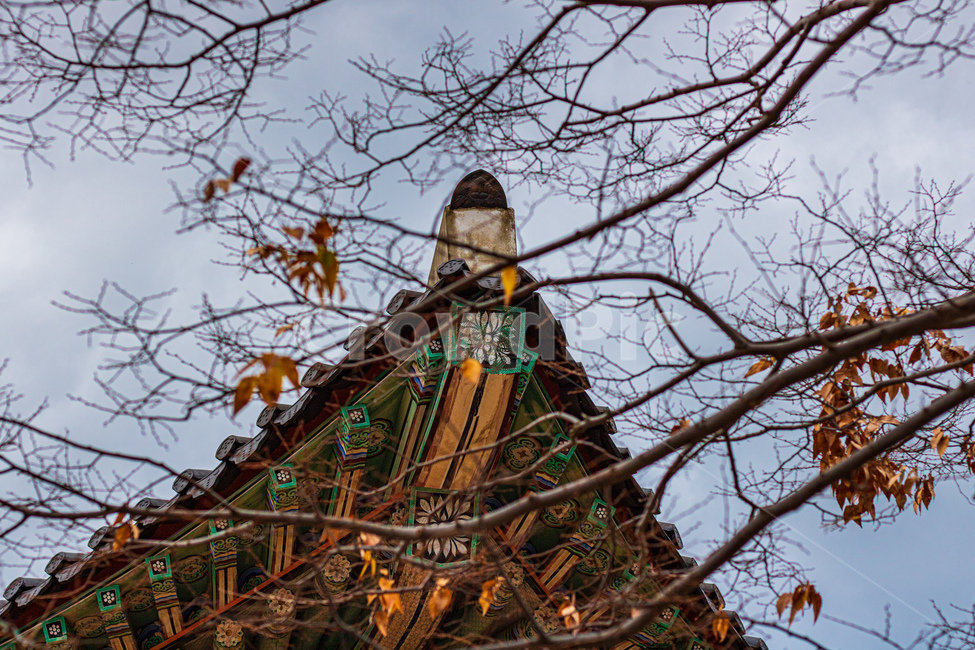 관덕정,초겨울,기와,기와집,옛문화,지혜,한국전통,한국문화,korean traditional,korean culture,건축물,건물외관,exterior,building,structure,architecture,construction