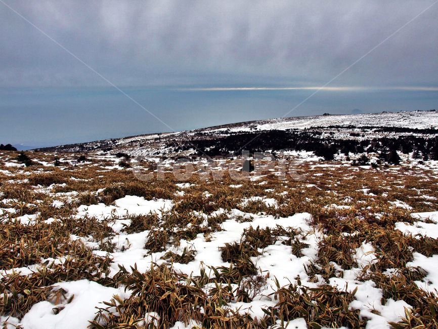 어리목,한라산,제주도,겨울,겨울산,설화,설목,설경,눈,등산,겨울,계절,winter,season,자연,풍경,nature,landscape,outdoors,옥외,land,땅,plateau,고원,tundra,동토대,ground,바닥
