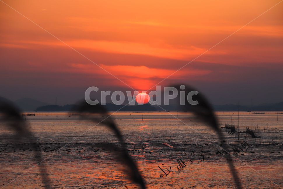 nature,자연,하늘,황혼,sky,붉은하늘,redsky,sunlight,햇빛,dawn,일몰,outdoors,옥외,dusk,sunset,자연,풍경,nature,landscape,한국자연풍경,한국자연경관,korea nature landscape