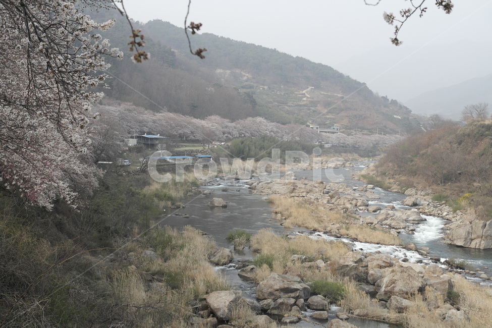 섬진강,자연,풍경,강,강줄기,경치