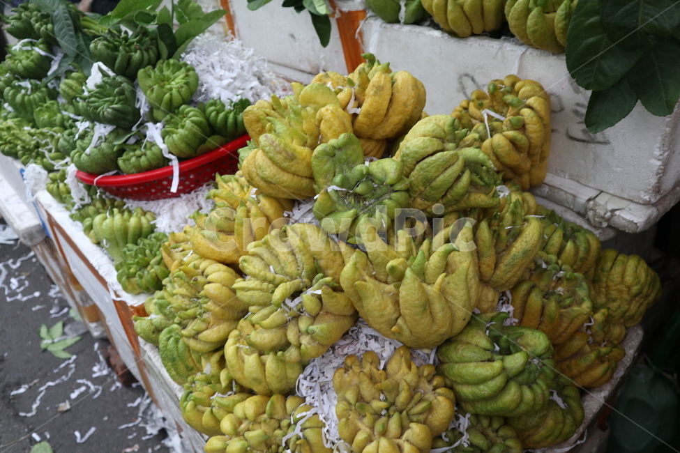 베트남,vietnam,vietnamfood,plant,식물