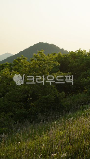 산,풀,자연,필드,nature,풀밭,목초지,field,grassland,grass,녹색,초록색,봄,노을,햇빛,태양,배경화면,hill,green,spring,오름,제주도,jeju,jejuisland,제주,새별오름,새별,옥외,outdoors,해질녘,언덕,등산,동산,오르막길