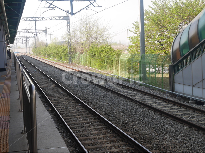 철길,평택역,자갈,봄,기차,교통,교통수단,traffic,transportation,rail,레일,train track,기찻길,railway,철도
