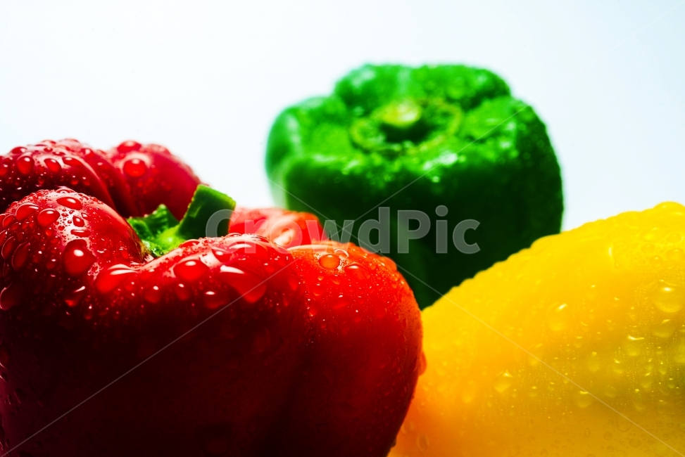 채소,파프리카,color,colorful,vegetable,paprica,음식,식재료,요리,food,cook,meal,dishes,food reserves,채소,야채,vegetables