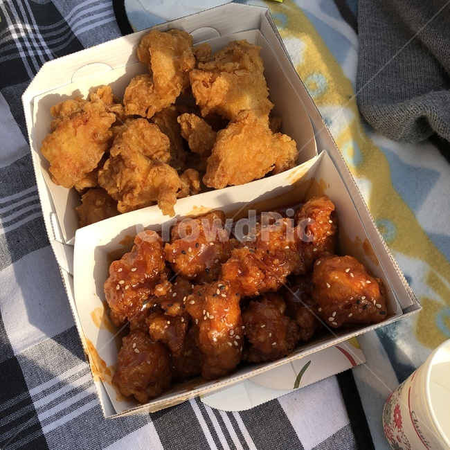 치킨,후라이드,양념,food,통닭,야식,나들이,음식,식재료,요리,food,cook,meal,dishes,food reserves