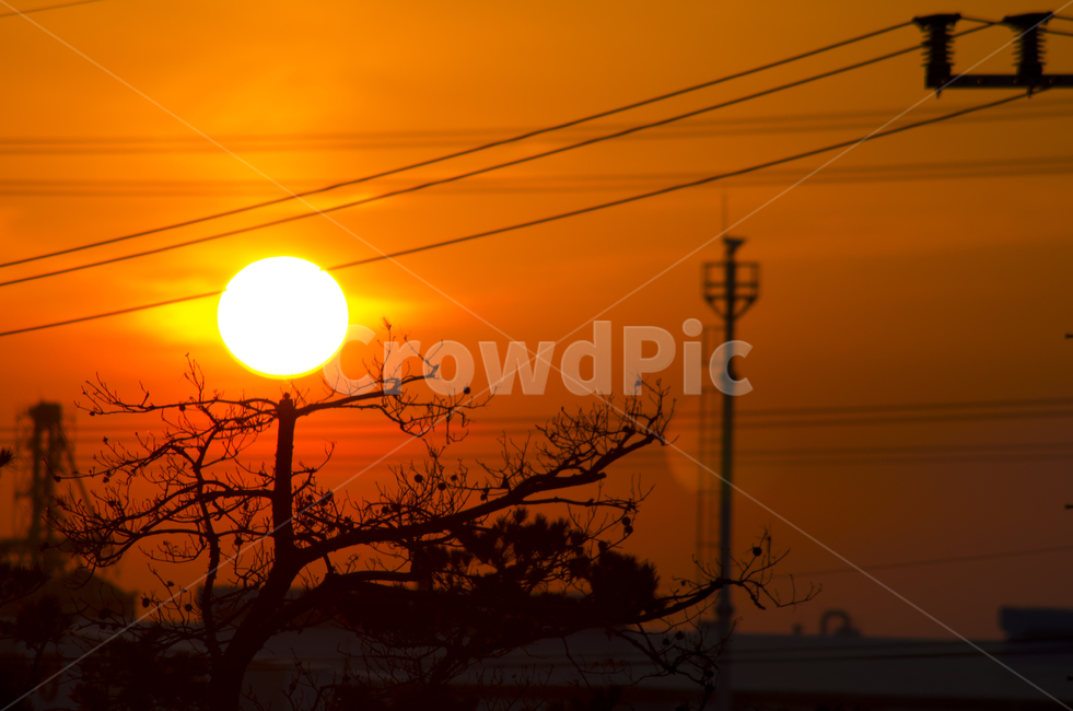노을,태양,가을,전설,하늘,해,일몰,해넘이,scene,view,feeling,emotion,nature,landscape,sun,sunset,tree,풍경,감성,실루엣,silhouette,정취,경관,풍광,감정,계절,풍경사진,감성사진,햇빛,오후,저녁